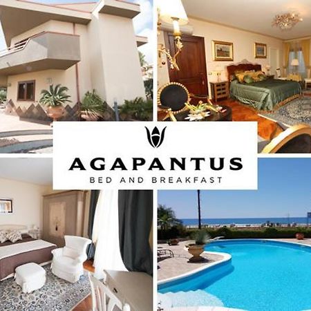 Agapantus Bed & Breakfast Acomodação com café da manhã Diamante Exterior foto