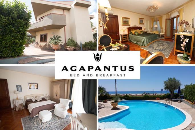 Agapantus Bed & Breakfast Acomodação com café da manhã Diamante Exterior foto