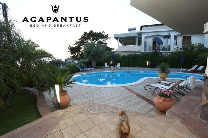 Agapantus Bed & Breakfast Acomodação com café da manhã Diamante Exterior foto